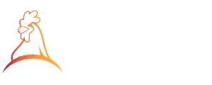 Organik Chicken